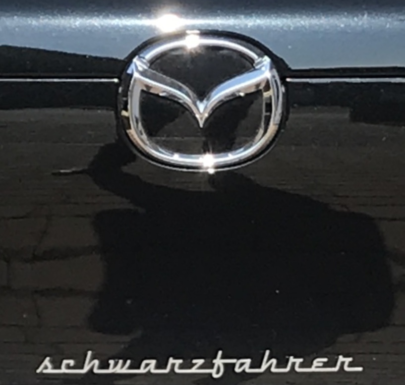 schwarzfahrer