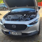 Neues Foto