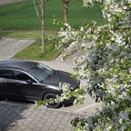Mein CX 30 im Frühling